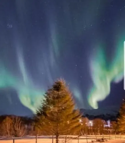 Villaer Myklebostad Hov (Troms)